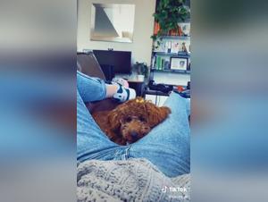 Hardcore Bestiality Video: An Extreme Sexual Experience