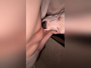 forbidden attractions unveiled