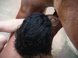 Zwei brasilianische Frauen säugen einen Hengst