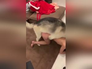 Submissive Asian woman and her dog: a shocking bestiality video