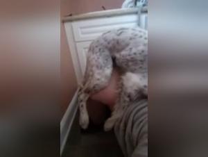 Sex with Dog: A Fun Bathroom Doggy Experience