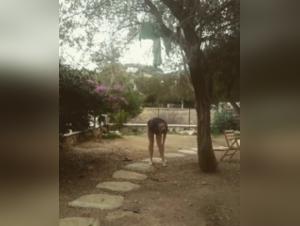 Bestiality: Dog and woman in a shocking video