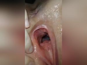 Disconnection: A Bestial Experience on Video