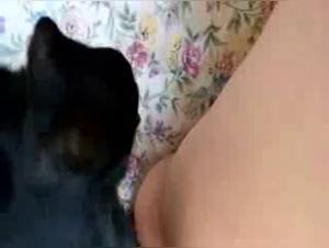 granny licked to a howling double orgasm