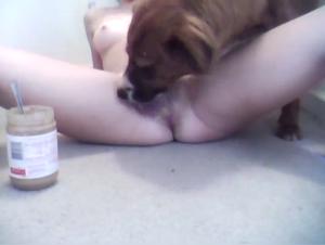 Tiefschlaf mit Hund: Summers wilder Hund Sex Video