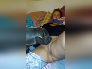 Hund leckt seine Besitzerin auf dem Bett
