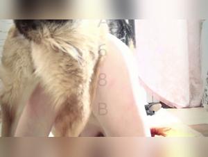 Huhnmaske, blonde wird von deutschem Schäferhund gefuckt - Tiere