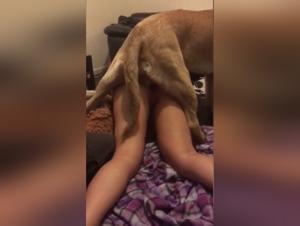 Bestiality: a woman and her dog