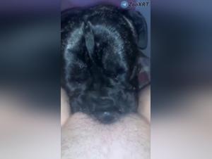 Baise Chien Fille - XxX Vidéos