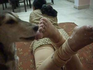 Feline bestiality video: the Indian girl fucks her dog with her feet