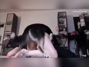 Sexyannabelle Dog Fuck 1