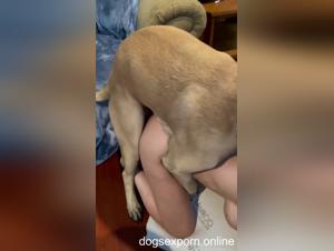 Animalistic Desires: Unveiling Zoofilia Tube's Secrets