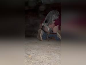 Best dog friend fucks his mistress