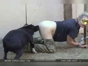 Submissive and exhibitionist woman facing a dog