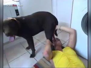 Compilation of women who are fans of canine fellatio