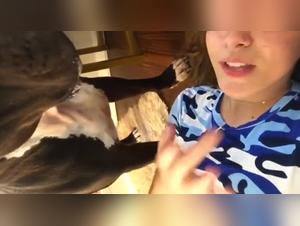 Elle a appris à embrasser avec son chien