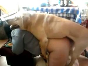 my zoophilia video collection #8