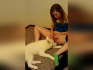 Video of Bestiality with a Dog