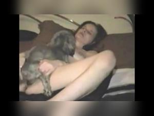 Intense missionary with dog - Bestiality sex video