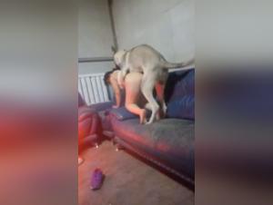 Fille sauvage baisée par chien, vidéos XXX