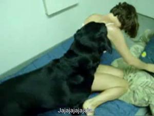 The Best Dog Lovers Porn Videos Featuring Sexy Women and Their Dogs