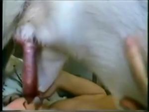 Milf and Dog in Bestiality Sex Video