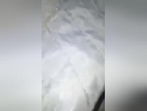 An Intimate and Bestial Encounter