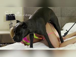 Veronica Silesto and her Dog at the Party - Video by Zoophilie Extreme
