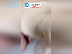 Milly Chien Baise Vidéo XXX Partie 3
