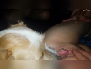 dutch dog sex ecstasy raw