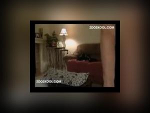 woman and her giant mastiff