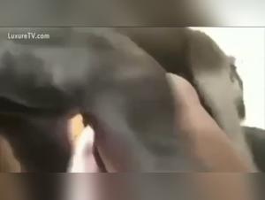 Forbidden Desires: Unveiling the Secret