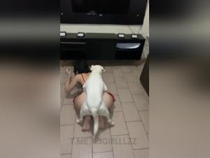 Best Zoolgia Videos for You