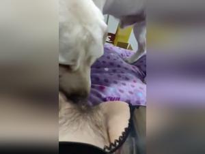 asian slut fucks dog wild  passion