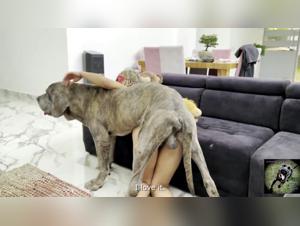 Tiktok Beast: video di zoofilia con una donna e un cane