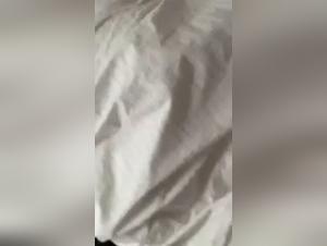 Pigs Gone Wild: XXX Fornication for Maximum Thrill