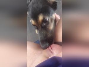 Bestiality: a milf and her dog