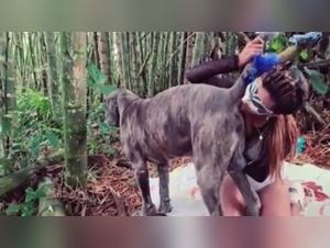 Rimming Dog: A Bestial and Exciting Experience