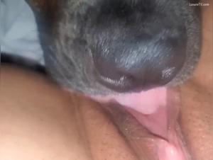 Unveiling the Taboo: Zoophilia Exposed