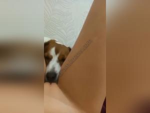 Mädchen wird von Hund gefickt (erstes Mal)
