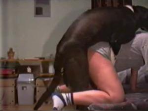 Zoo Porn - Dog fucks young slut homemade video