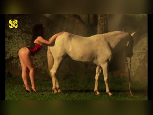 brasilianisches horse film hardcore