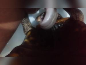 Untamed Desires: Crossing the Animalistic Line