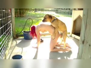 SlaveP Milly Chien Fougueux