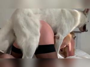 Submissive Woman and Her Dog