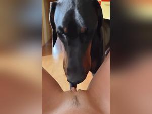 Woman and her dog: a shocking bestiality video