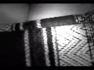 Canine Virility: An Extreme Experience