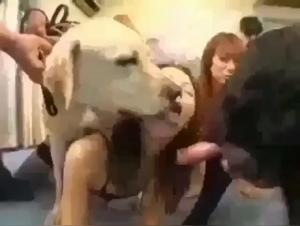 Mylène y Sus Perros: Placer Animal Indomable