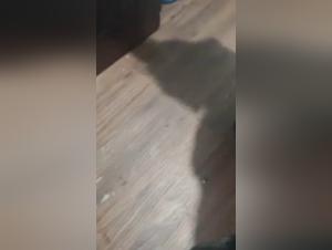 Salope baise chien vidéo XXX