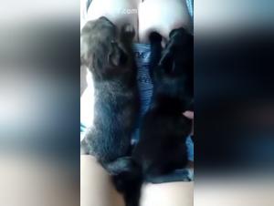 Woman breastfeeding puppies: a shocking and exciting zoophilia video